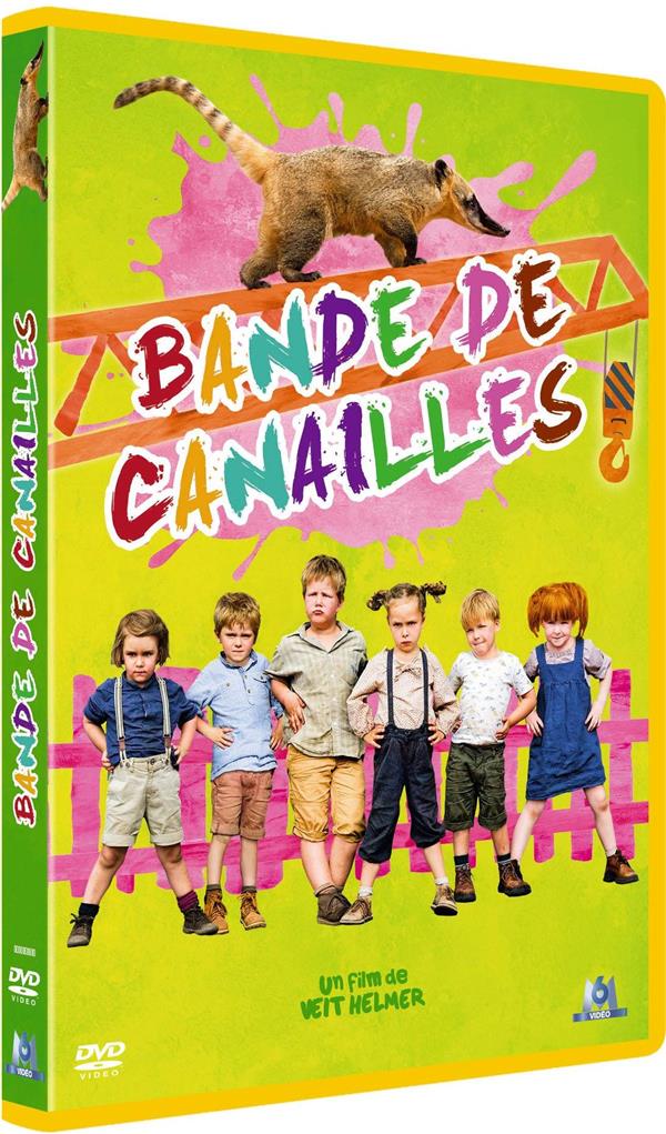 Bande De Canailles [DVD] - flash vidéo
