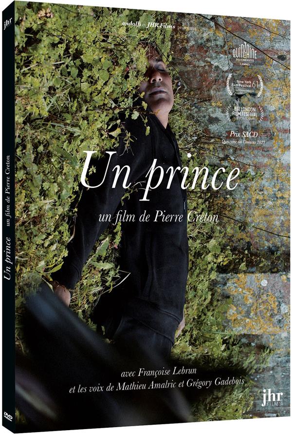 Un prince [DVD] - flash vidéo