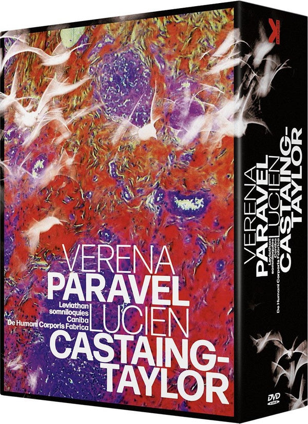 Véréna Paravel et Lucien Castaing-Taylor - Coffret 4 films [DVD]
