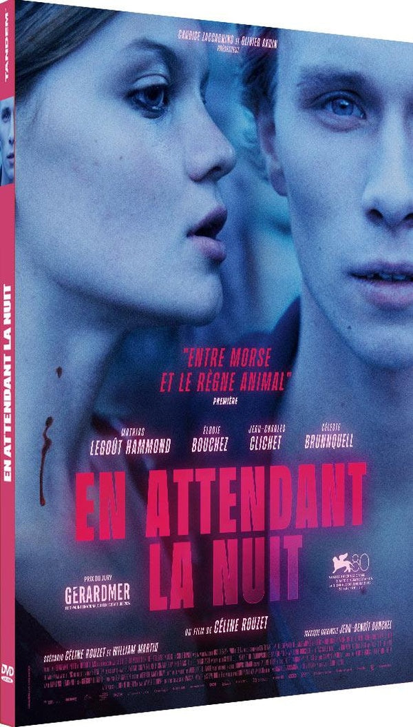 En attendant la nuit [DVD] - flash vidéo