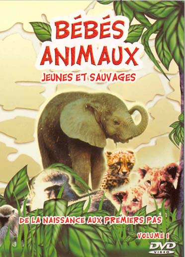 Bebe animaux, jeunes et sauvages, vol. 1 : de la naissance aux premiers pas [DVD]