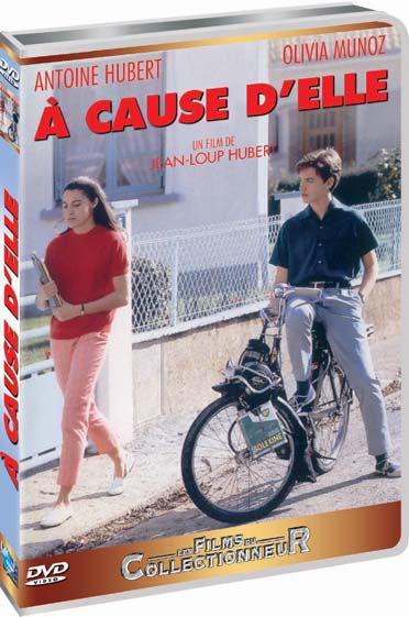 À cause d'elle [DVD] - flash vidéo
