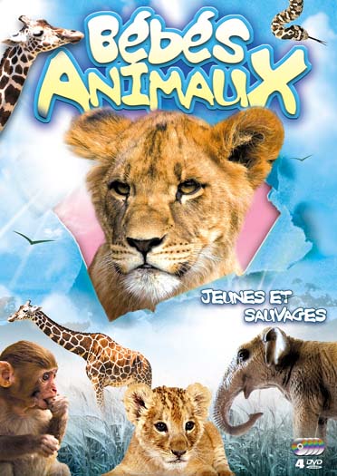 Bébés animaux - Coffret [DVD]