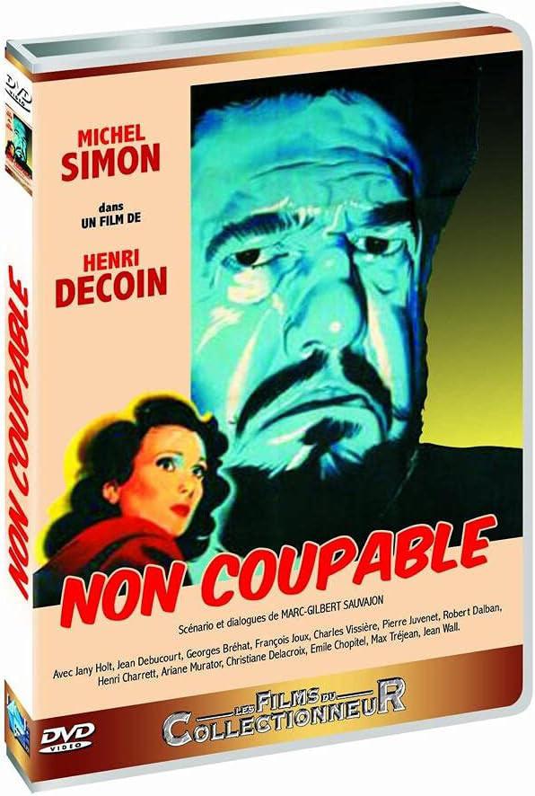 Non coupable [DVD]