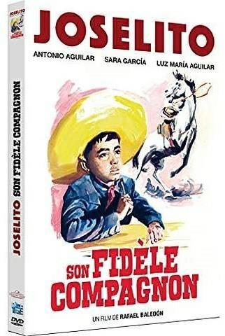 Son fidèle compagnon [DVD]