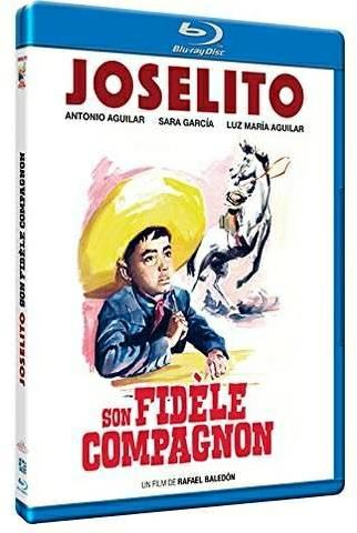 Son fidèle compagnon [Blu-ray]