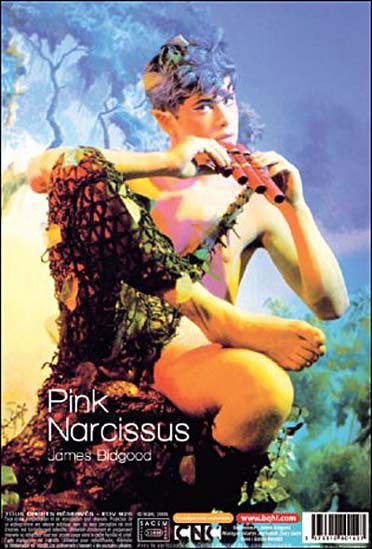 Pink Narcissus [DVD]