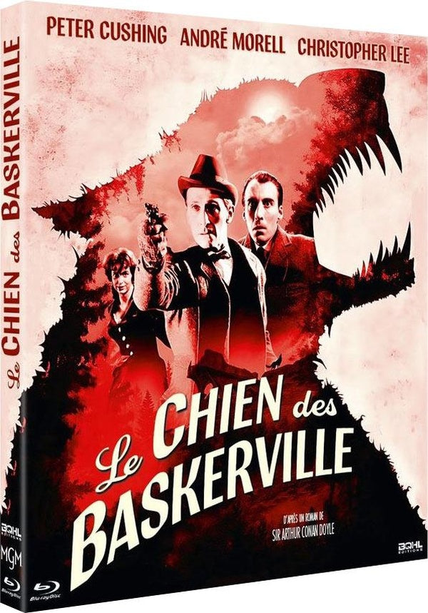 Le Chien des Baskerville [Blu-ray] - flash vidéo