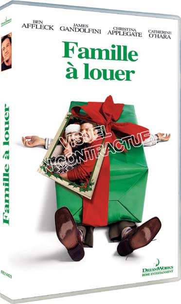 Famille à louer [DVD] - flash vidéo