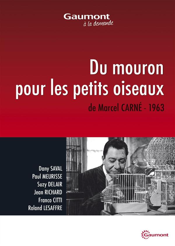 Du mouron pour les petits oiseaux [DVD] - flash vidéo