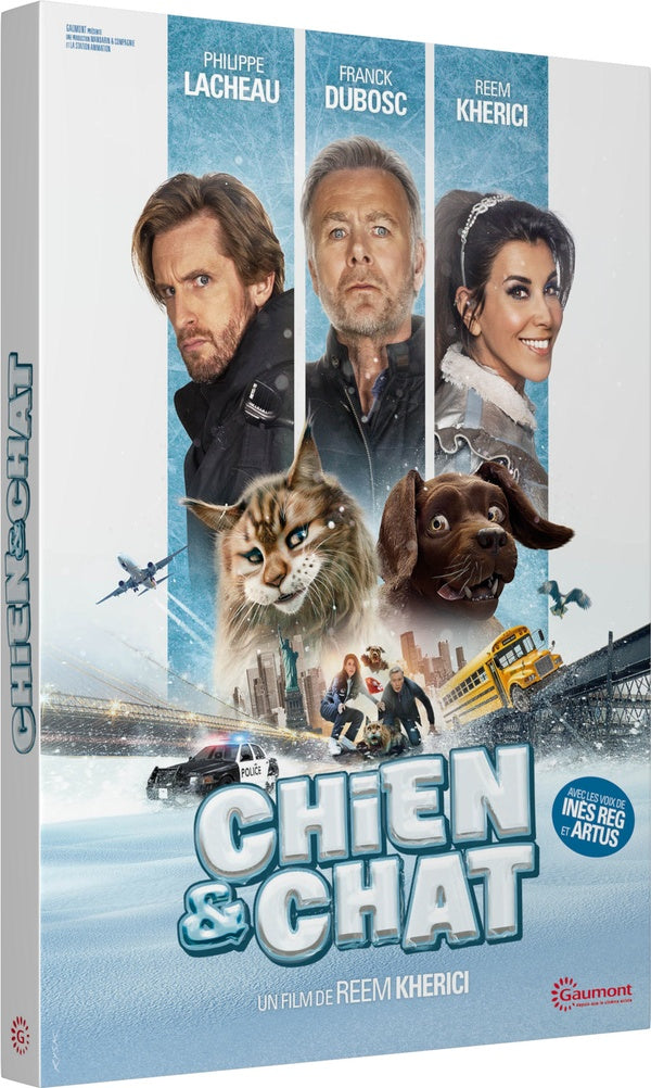 Chien et chat [DVD] - flash vidéo