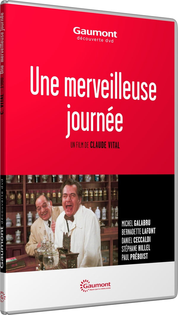 Une merveilleuse journée [DVD] - flash vidéo