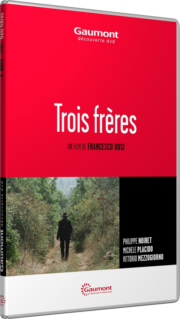 Trois frères [DVD] - flash vidéo