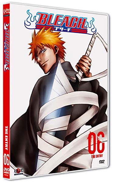 Bleach, vol. 6 [DVD]