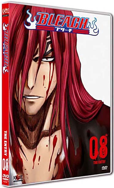 Bleach, vol. 8 [DVD]