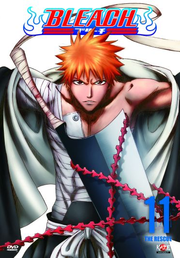 Bleach, vol. 11 [DVD]