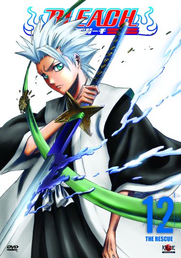 Bleach, vol. 12 [DVD]