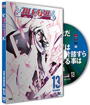 Bleach, vol. 13 [DVD]