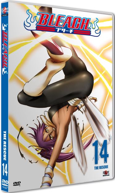 Bleach - volume 14 [DVD]
