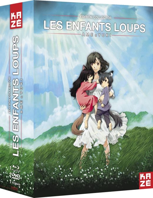 Les Enfants Loups Ame et Yuki [Blu-ray]