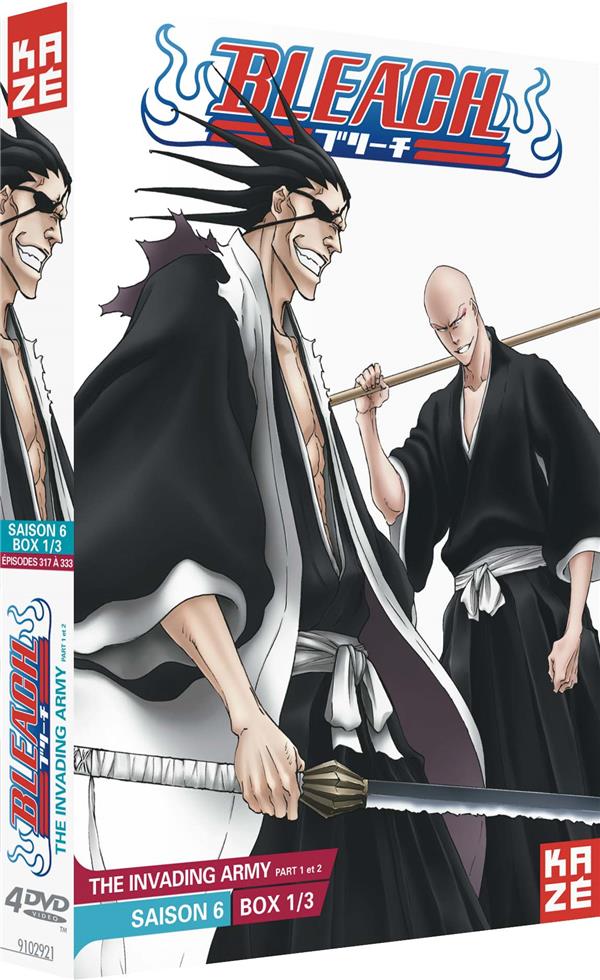 Coffret Bleach, Saison 6, Vol. 1, épisodes 1 à 17 [DVD] - flash vidéo