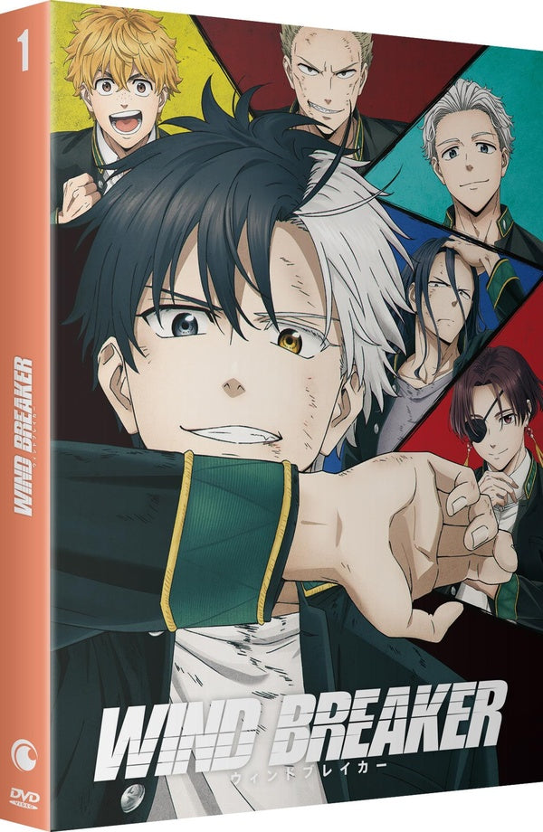 Wind Breaker - Saison 1 [DVD]