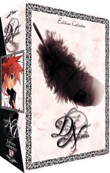 Coffret intégrale DN Angel [DVD]
