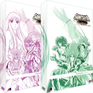 Saint Seiya - les chevaliers du Zodiaque, Hades : le sanctuaire [DVD] - flash vidéo