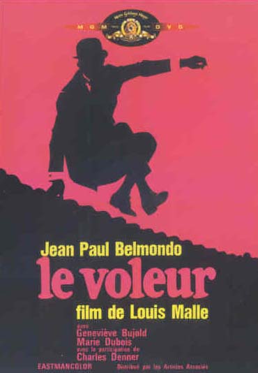 Le Voleur [DVD]