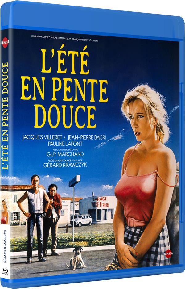 L'Eté en pente douce [Blu-ray] - flash vidéo