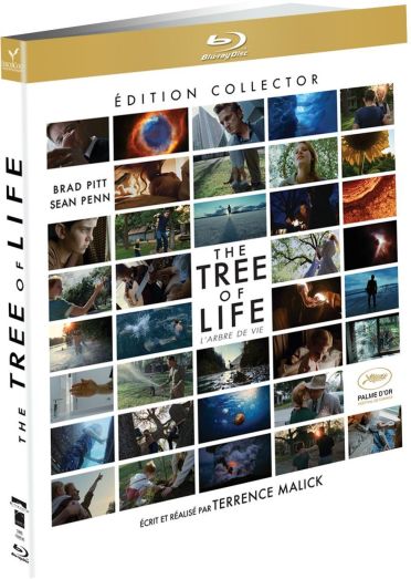 The Tree of Life (L'arbre de vie) [Blu-ray] - flash vidéo