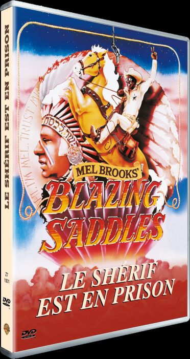 Le Shérif est en prison [DVD]