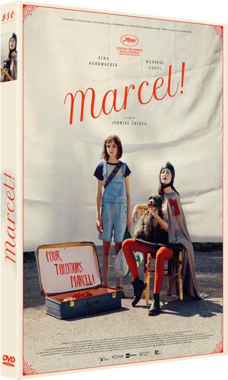 Marcel ! [DVD] - flash vidéo