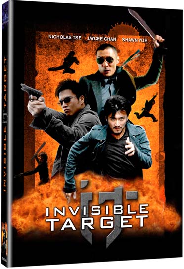 Invisible Target [DVD] - flash vidéo