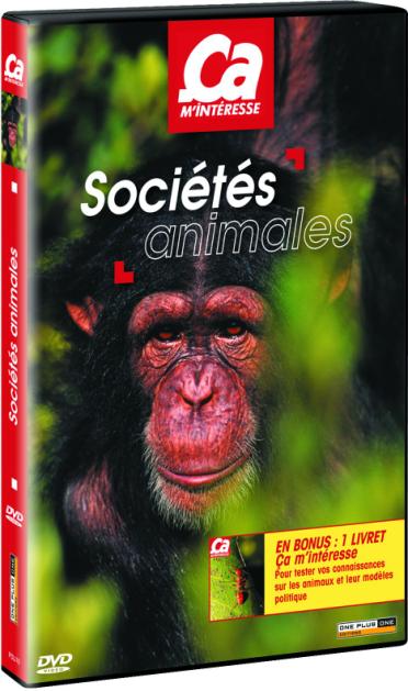 ça m'intéresse, vol 9 : société animales [DVD]