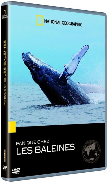 Panique chez les baleines [DVD]