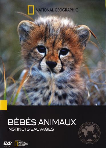 Bébés animaux instincts sauvages [DVD]