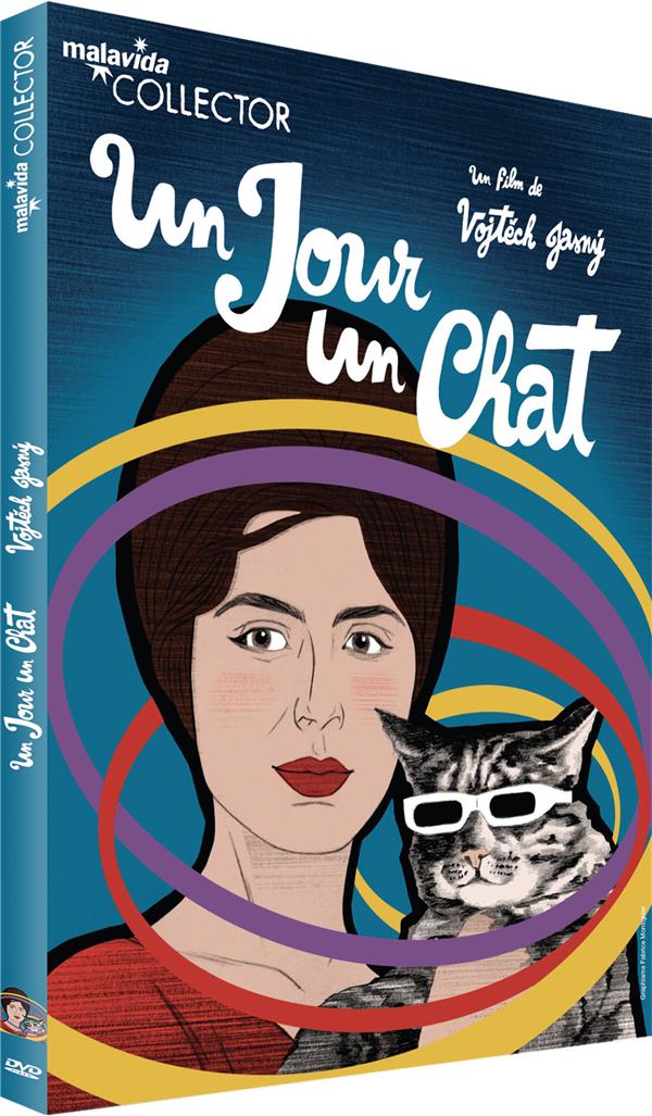 Un jour, un chat [DVD] - flash vidéo