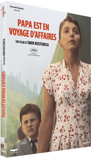 Papa est en voyage d'affaires [DVD]