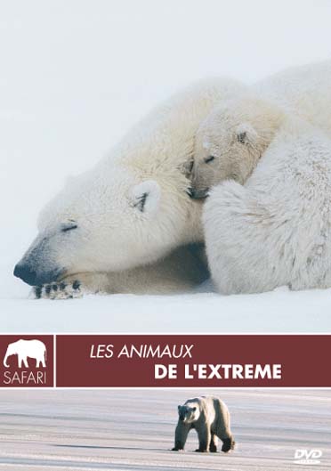 Les Animaux de l'extrême [DVD]