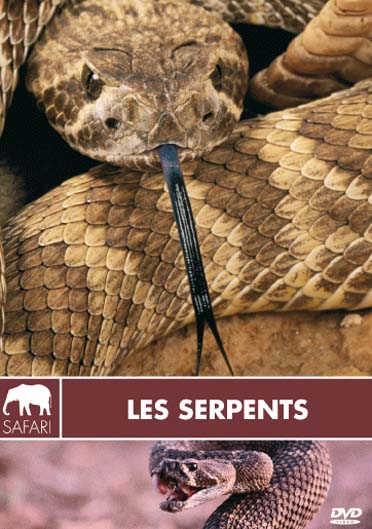 Les Serpents [DVD]