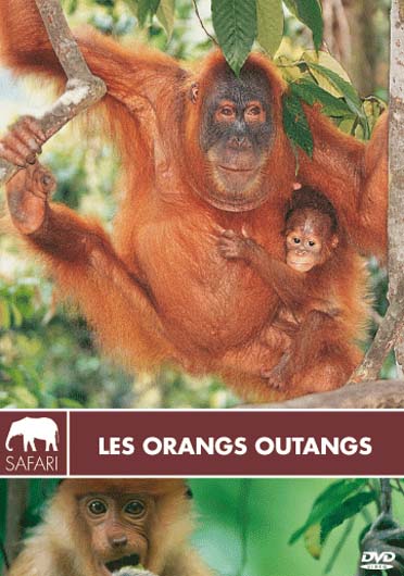 Les Orangs Outangs [DVD]
