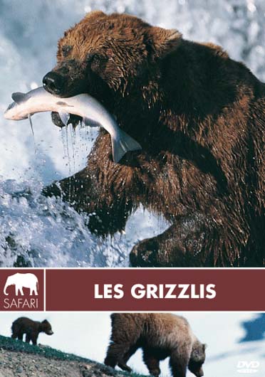 Les Grizzlis [DVD]