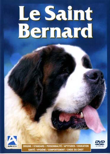 Le Saint Bernard [DVD]