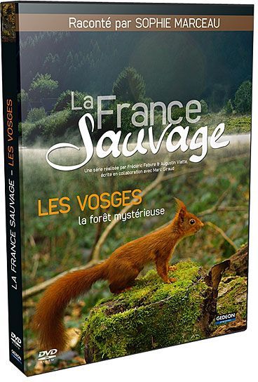 La France Sauvage - Les Vosges, la forêt mystérieuse [DVD]