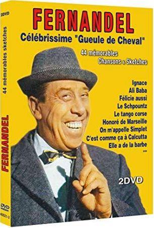 Coffret Fernandel : 44 mémorables chansons et sketches [DVD] - flash vidéo