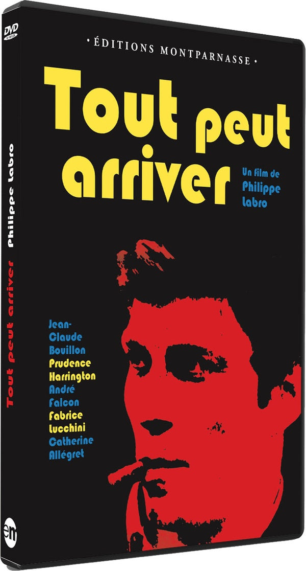 Tout peut arriver [DVD] - flash vidéo