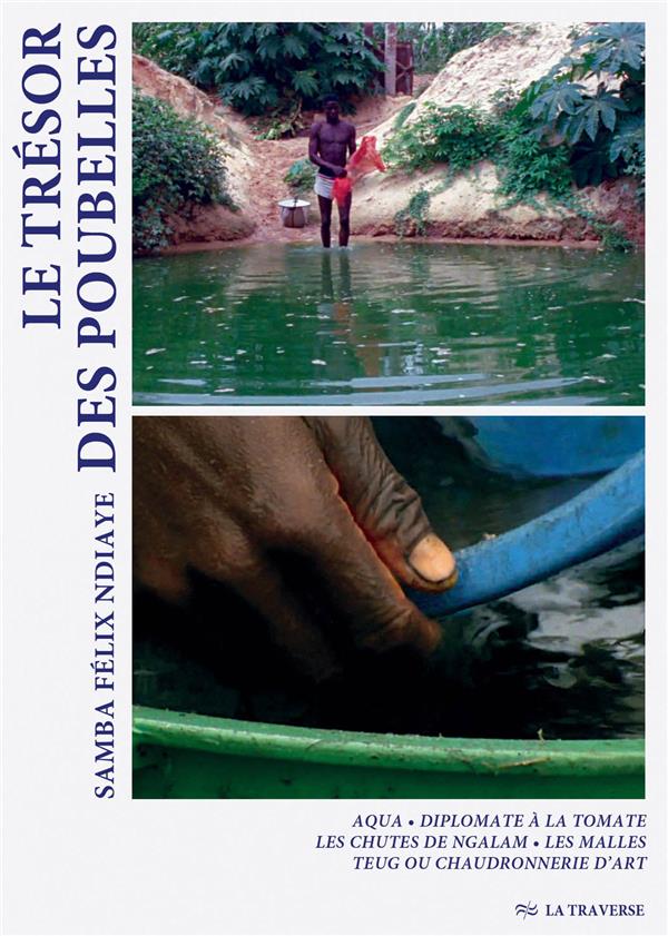 Le Trésor des poubelles [DVD] - flash vidéo