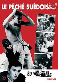 Le Péché suédois [DVD]