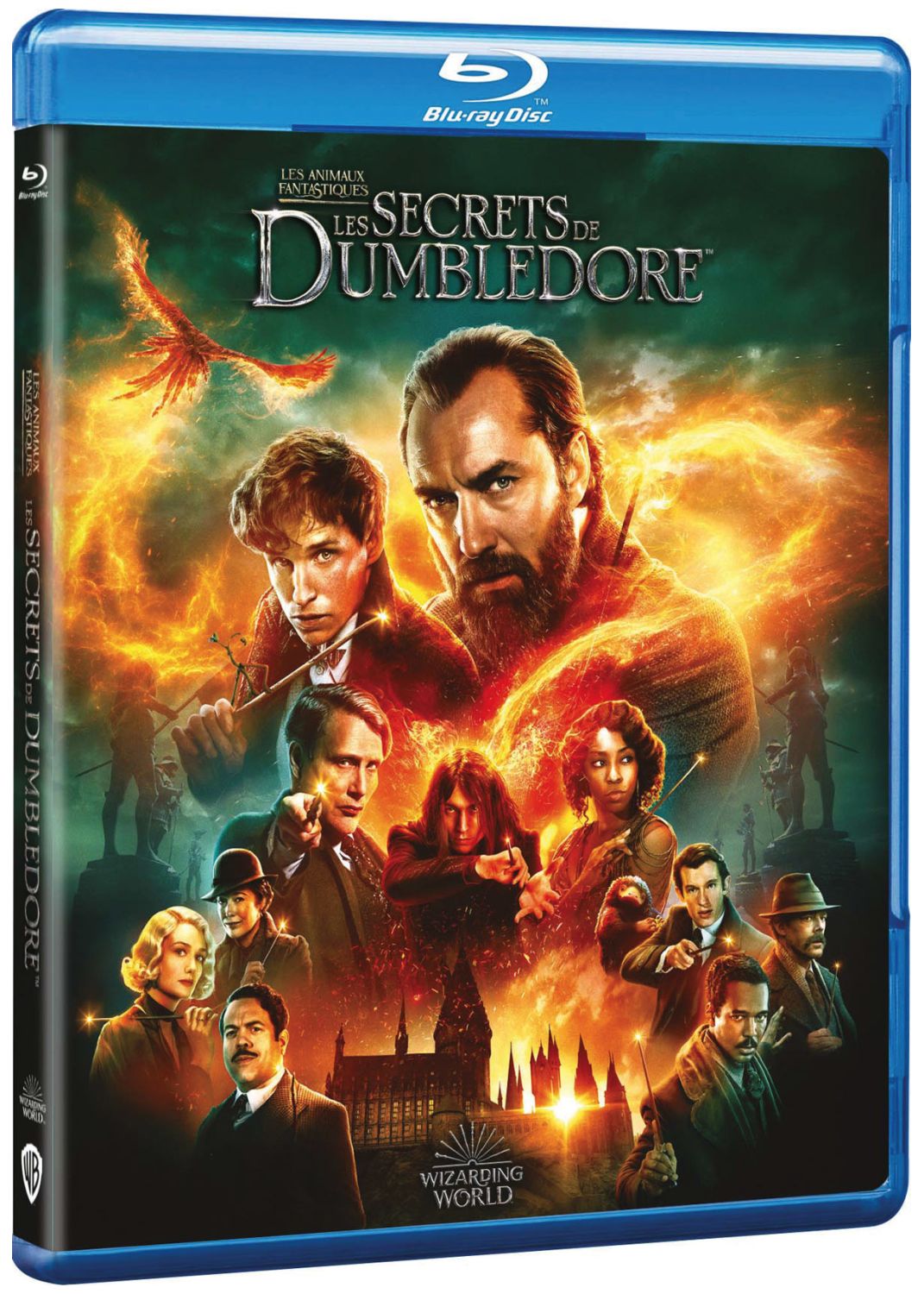 Les Animaux fantastiques : Les Secrets de Dumbledore [DVD/Blu-ray/4K à la location] - flash vidéo